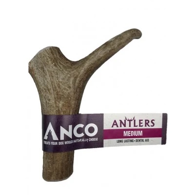 Medium Deer Antler