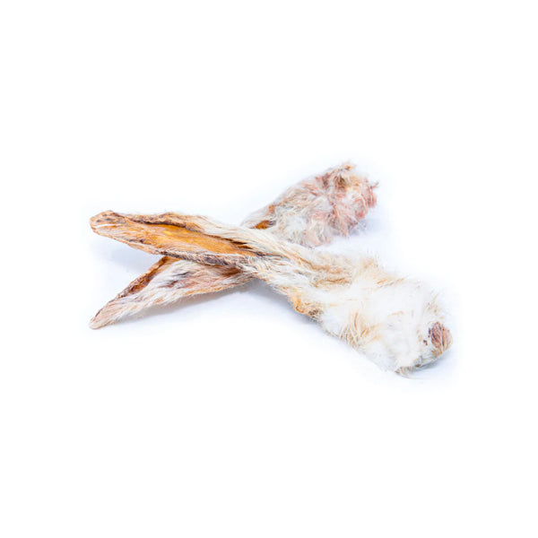 Rabbit Ears