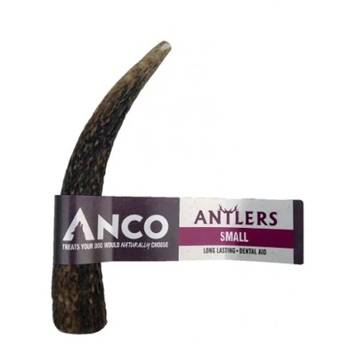 Small Deer Antler